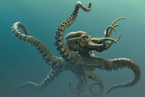 Kraken tor onion зеркало