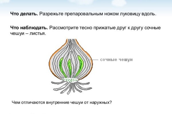 Как найти kraken