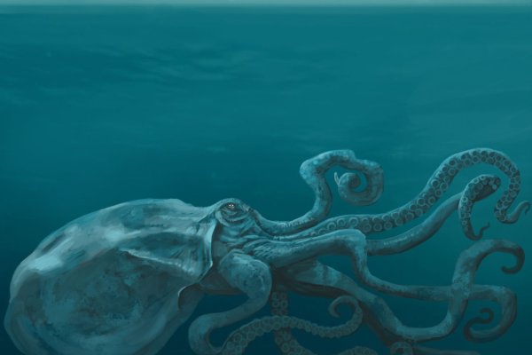 Kraken onion вход