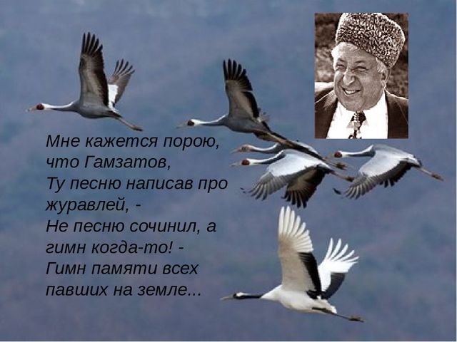 Кракен без впн