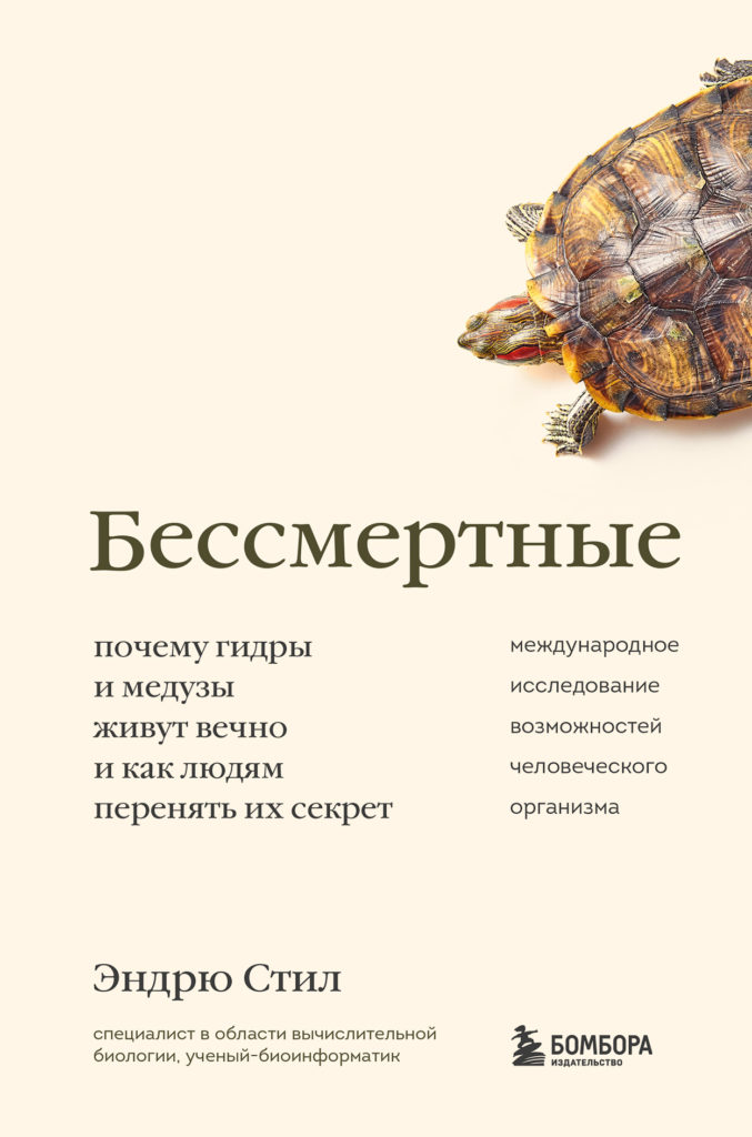 Адрес сайта кракен